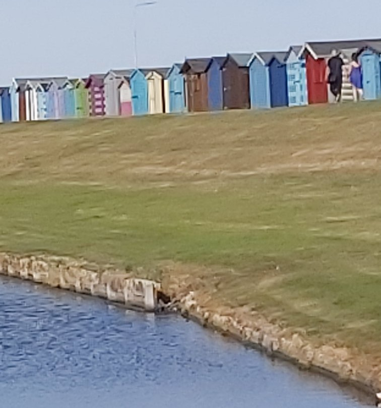 Dovercourt Bay Beach景点图片