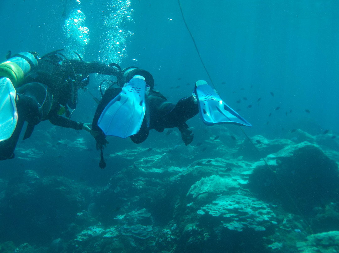 Ocean Boulevard-八丈岛必去景点