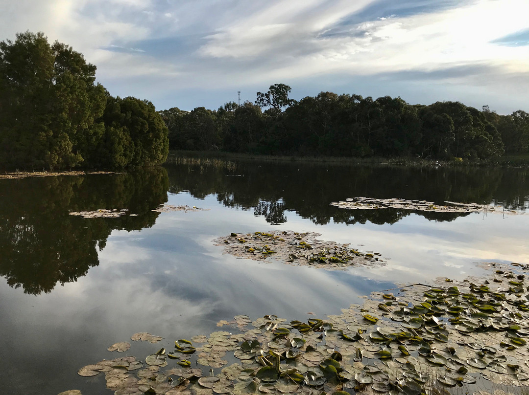 Traralgon Railway Reservoir Conservation Reserve-特拉拉尔根必去景点