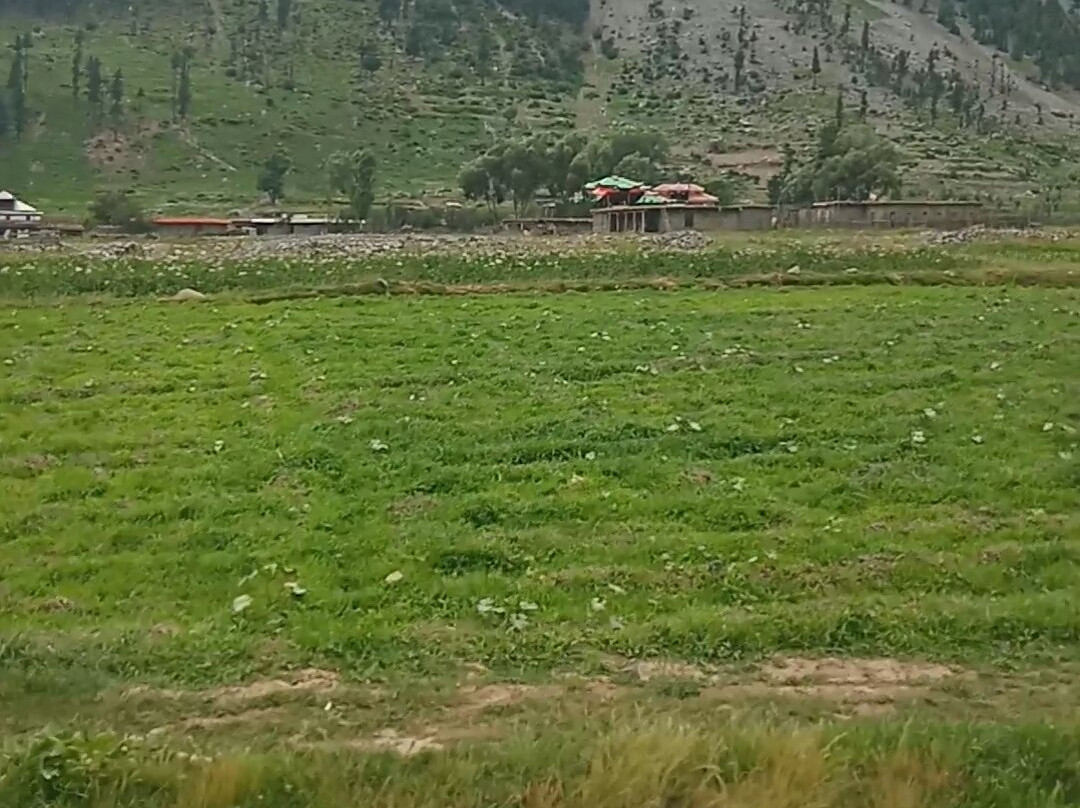 Swat旅游攻略图片