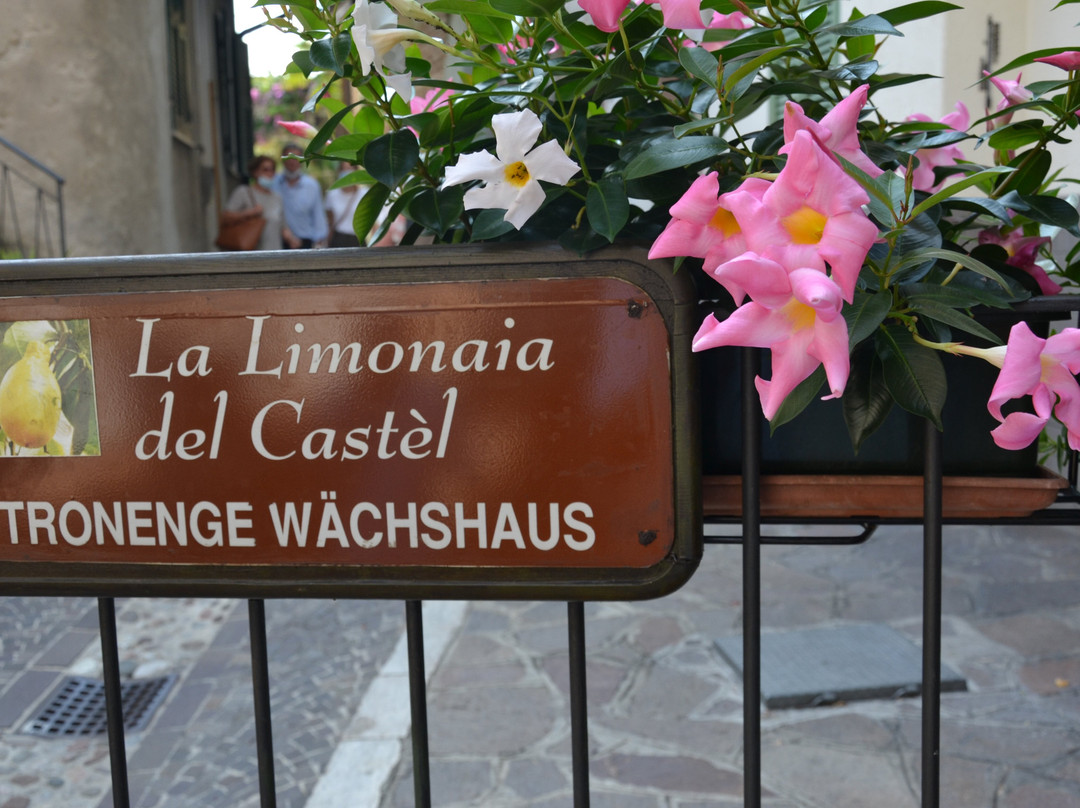 La Limonaia del Castel景点图片