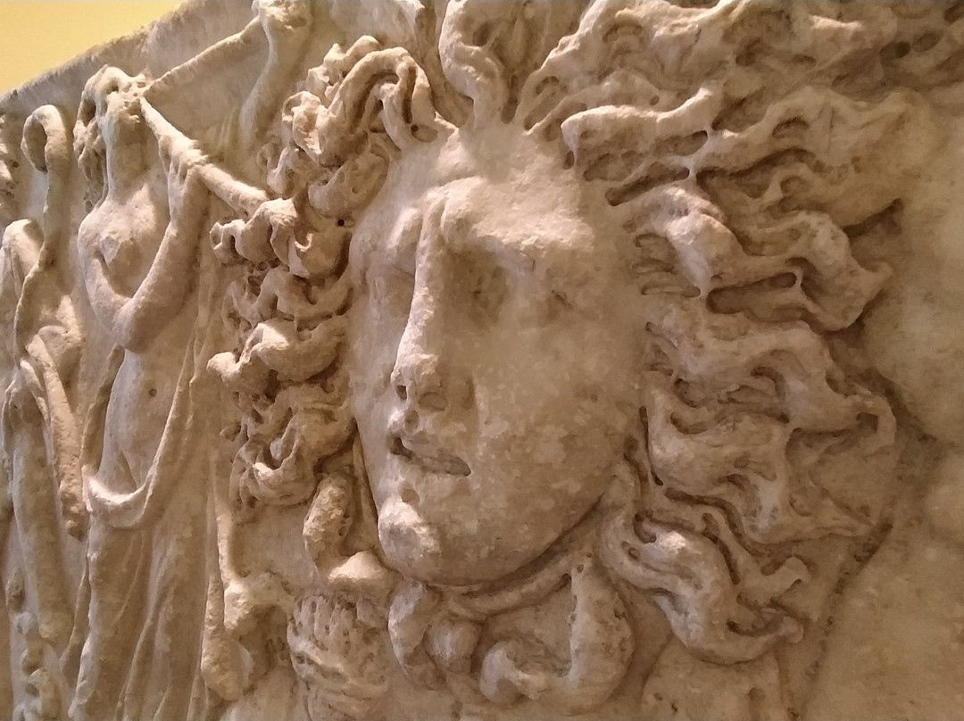 Museo Territoriale Del Lago Di Bolsena景点图片