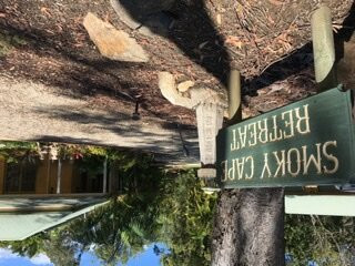 烟角度假酒店主图