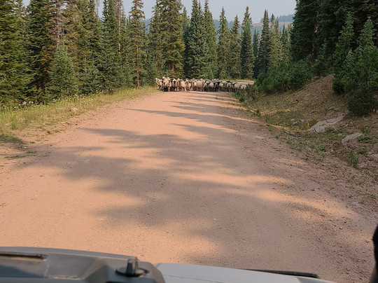 Colorado Backcountry Rentals-Red Cliff必去景点