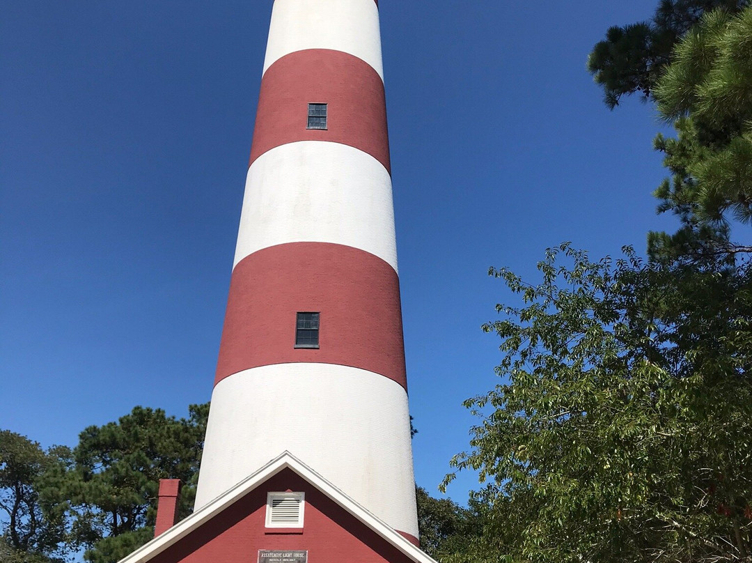 Assateague Lighthouse-Assateague Island必去景点