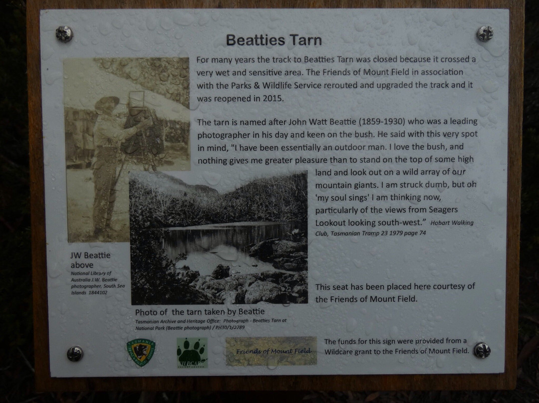 Beatties Tarn景点图片