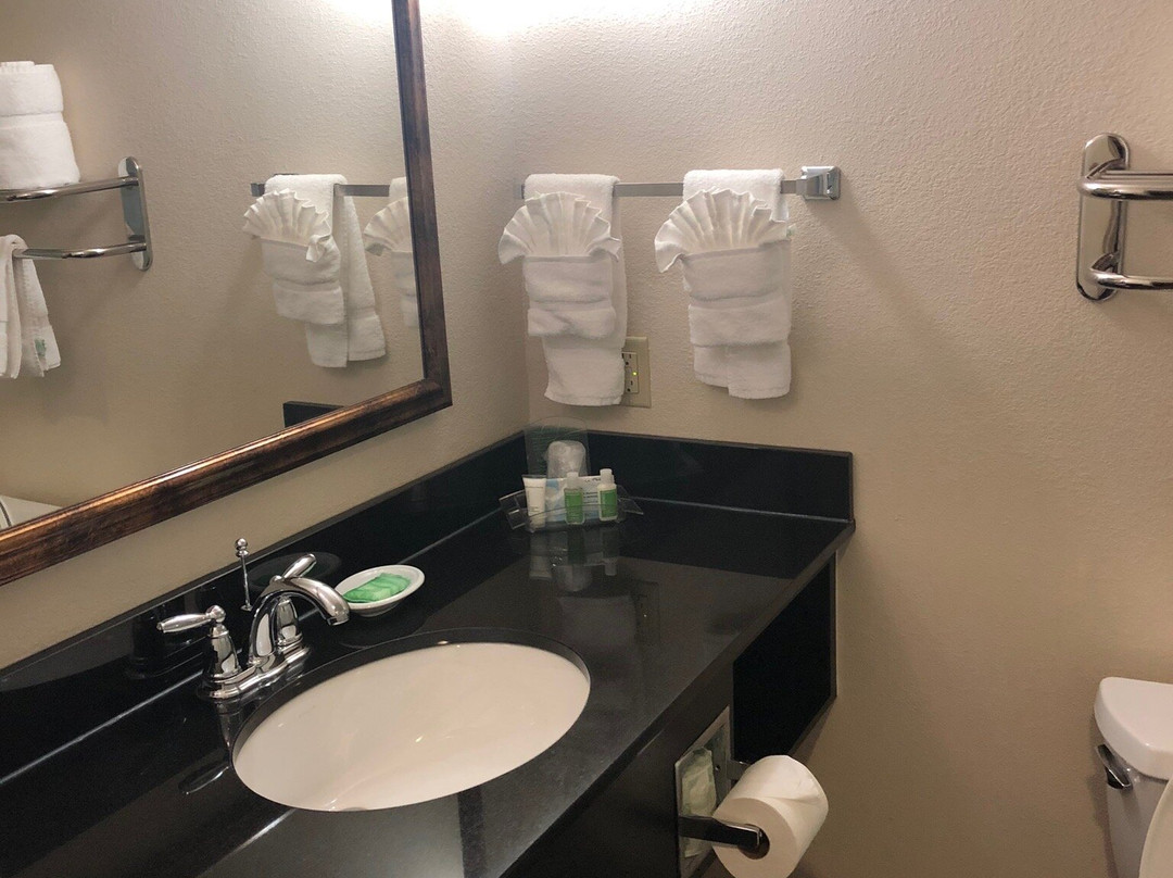 罗克山假日酒店主图