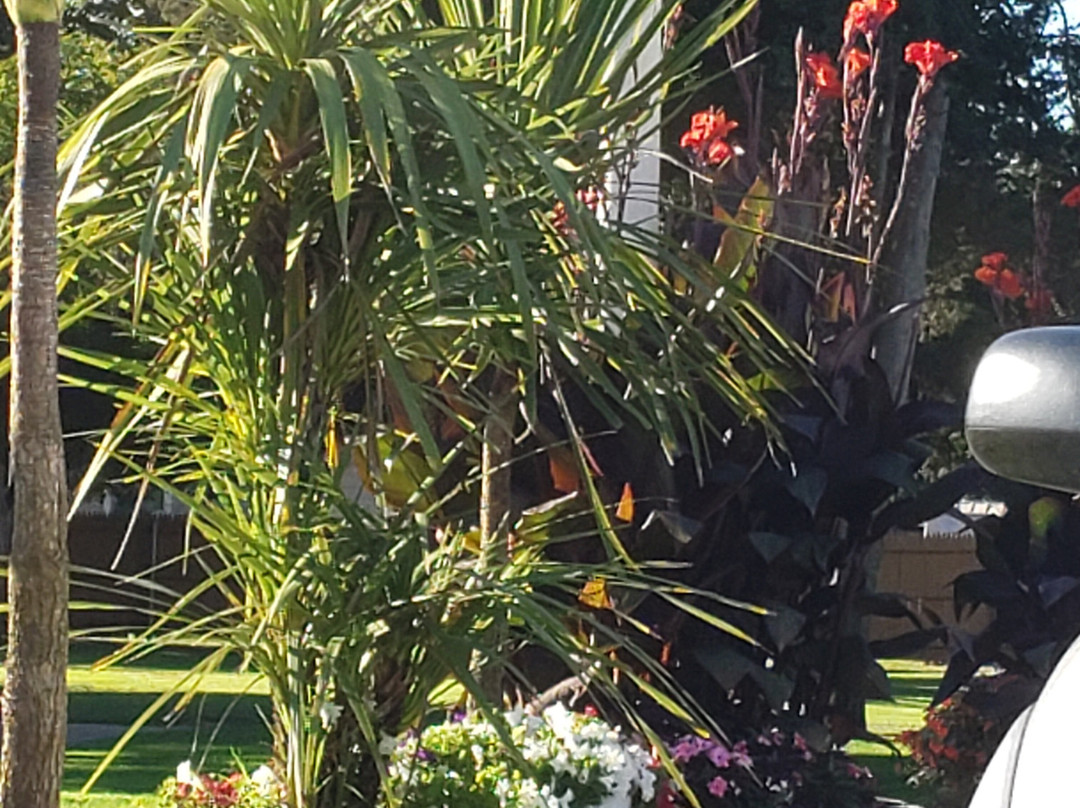 Breezeway Boutique Hotel主图