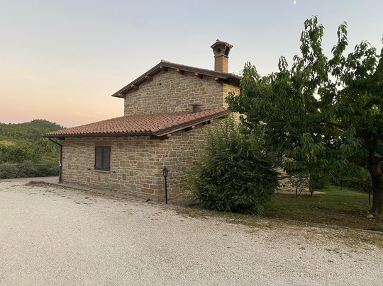 Cannabis Clinic & Restaurant主图