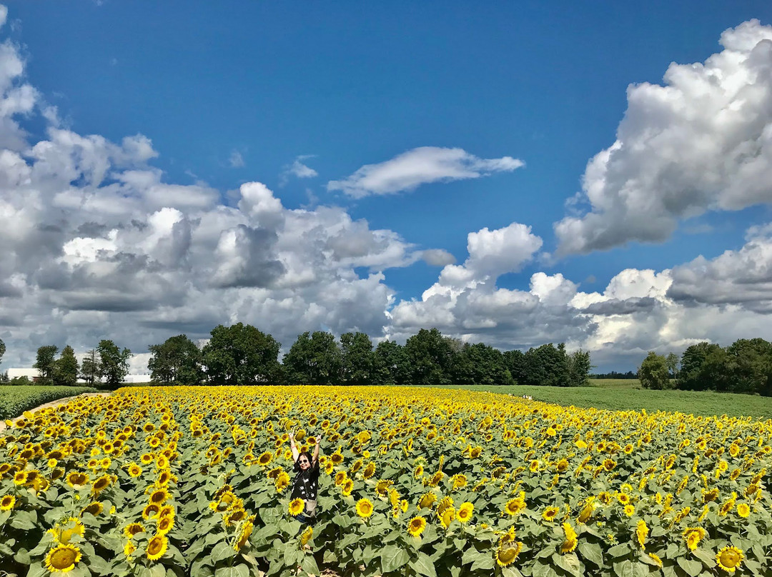 Dixie Orchards-卡利登必去景点