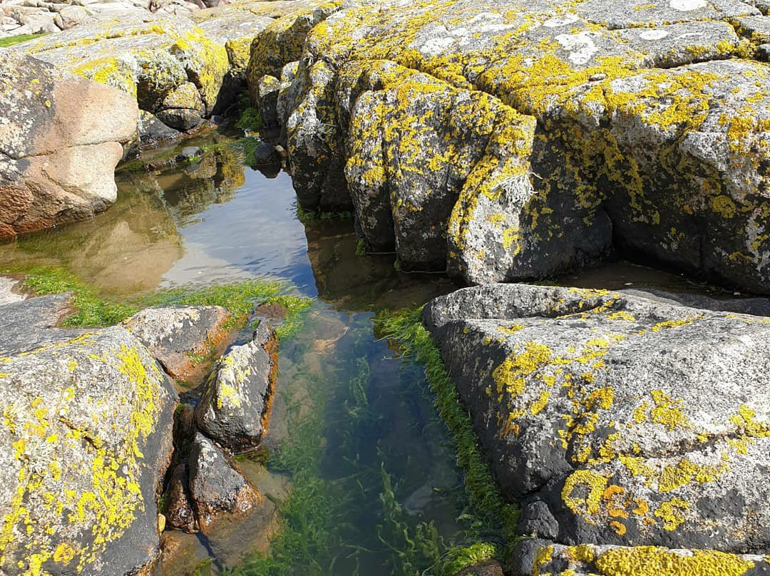 Kippford Beach景点图片