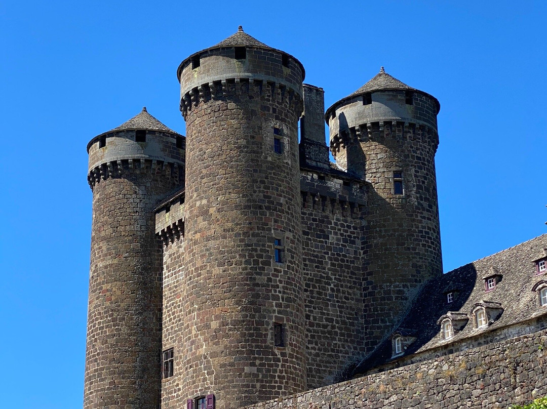Chateau d'Anjony景点图片
