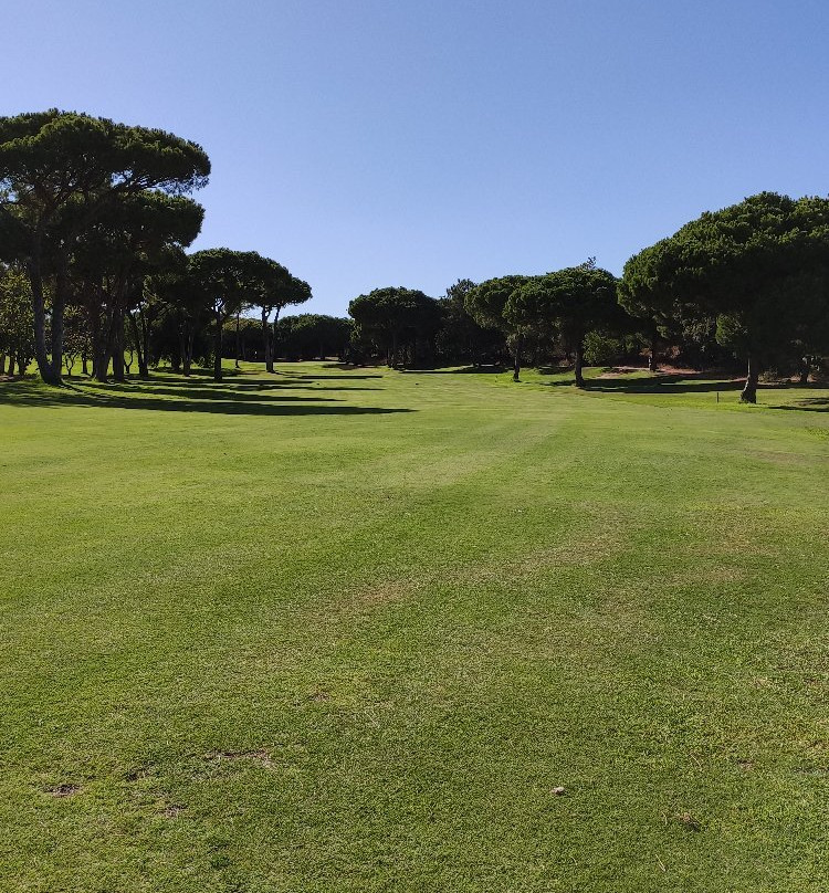 Vila Sol Golf Academy & Driving Range景点图片