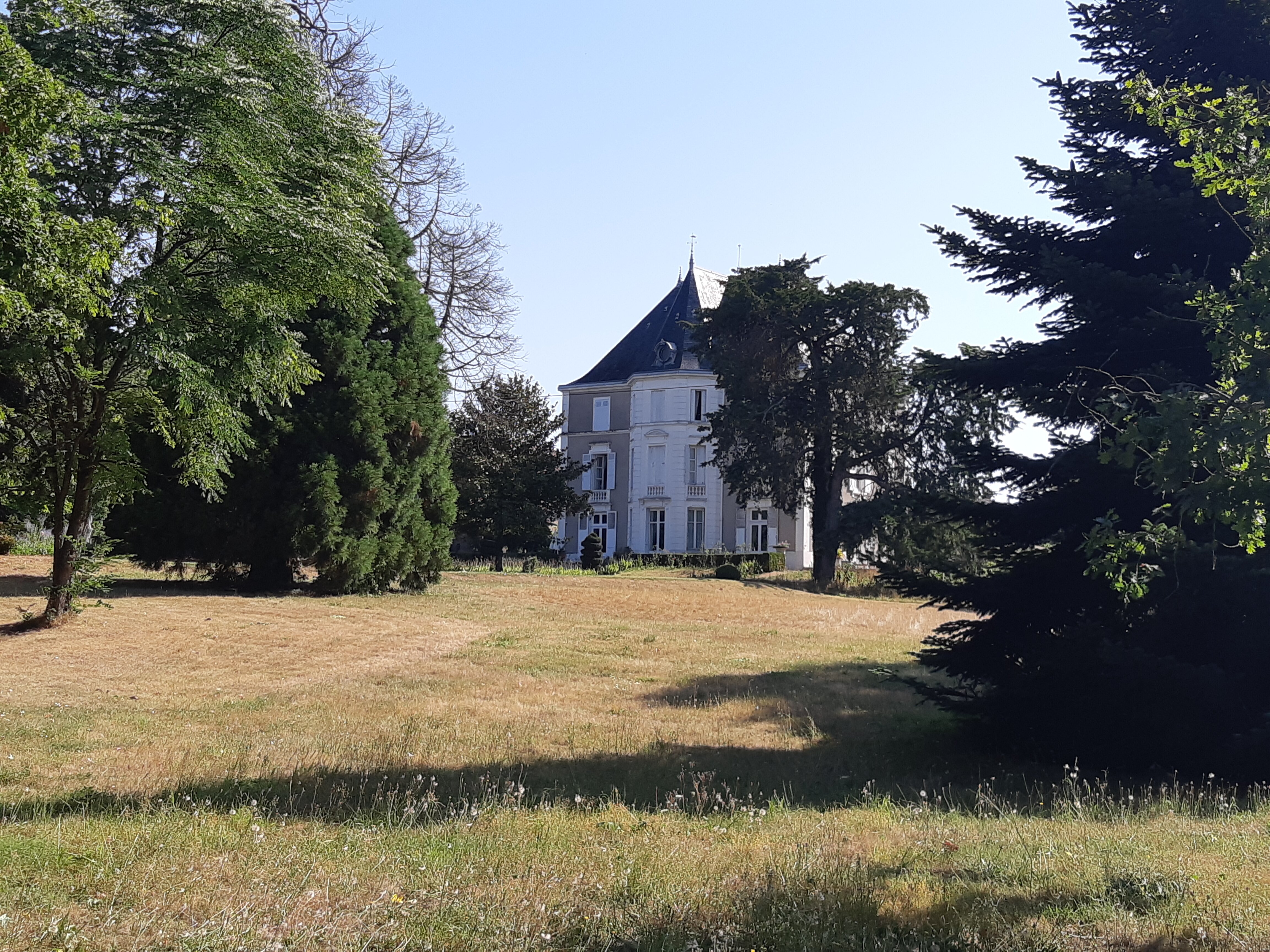 Chateau de Prety-泳池