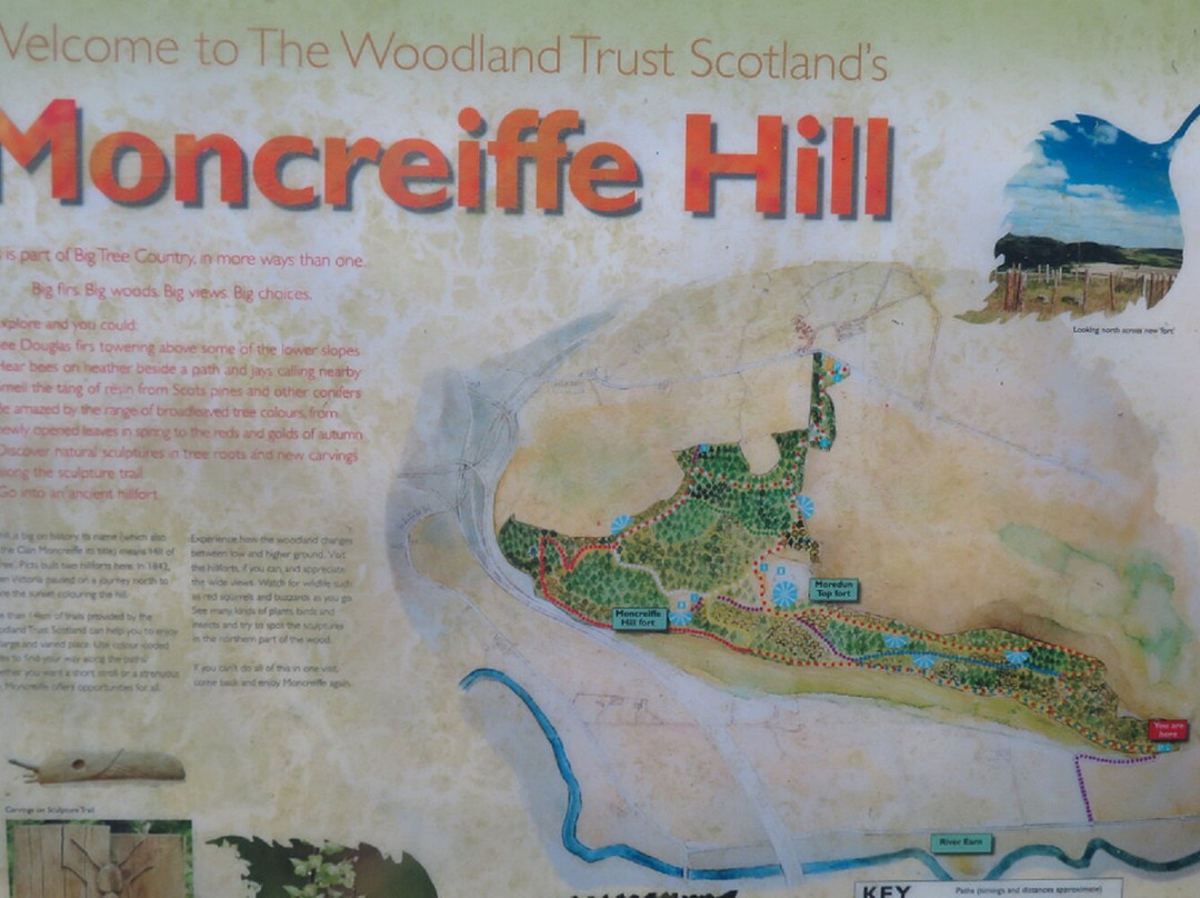 Moncreiffe Hill-珀斯必去景点
