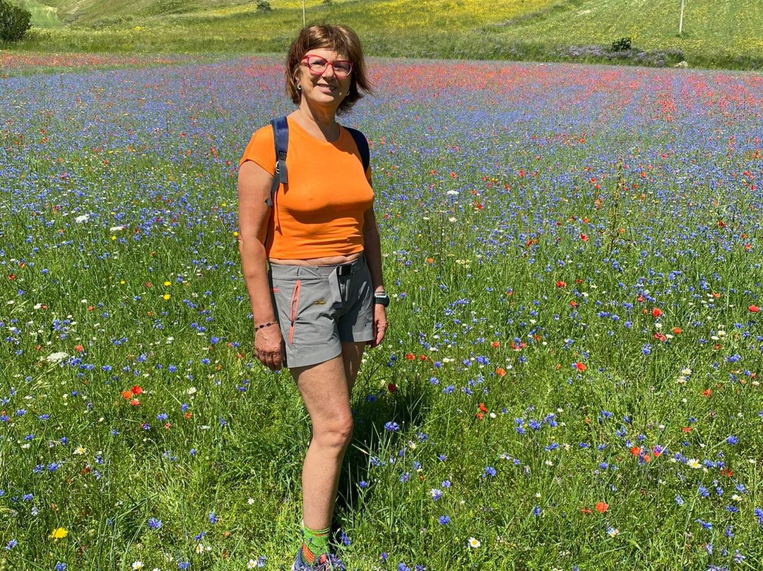 Borgo Medievale Castelluccio di Norcia景点图片