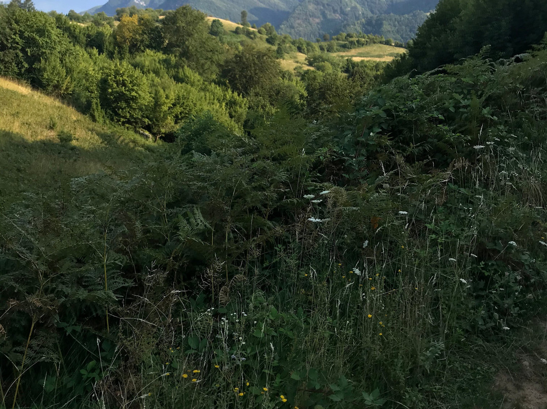 彻尔文别墅酒店主图