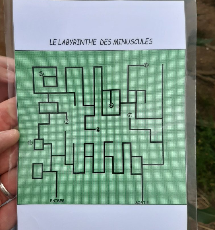 Dédales d'Opale景点图片