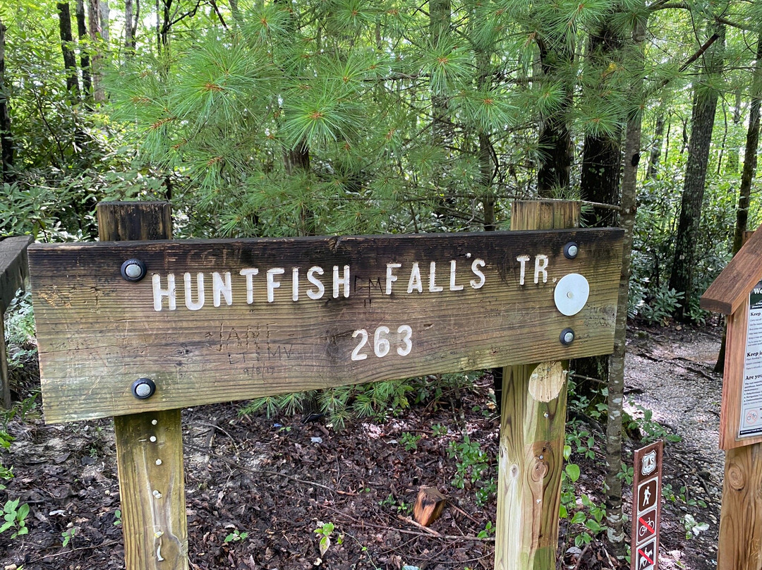 Wilson Creek-Lenoir必去景点