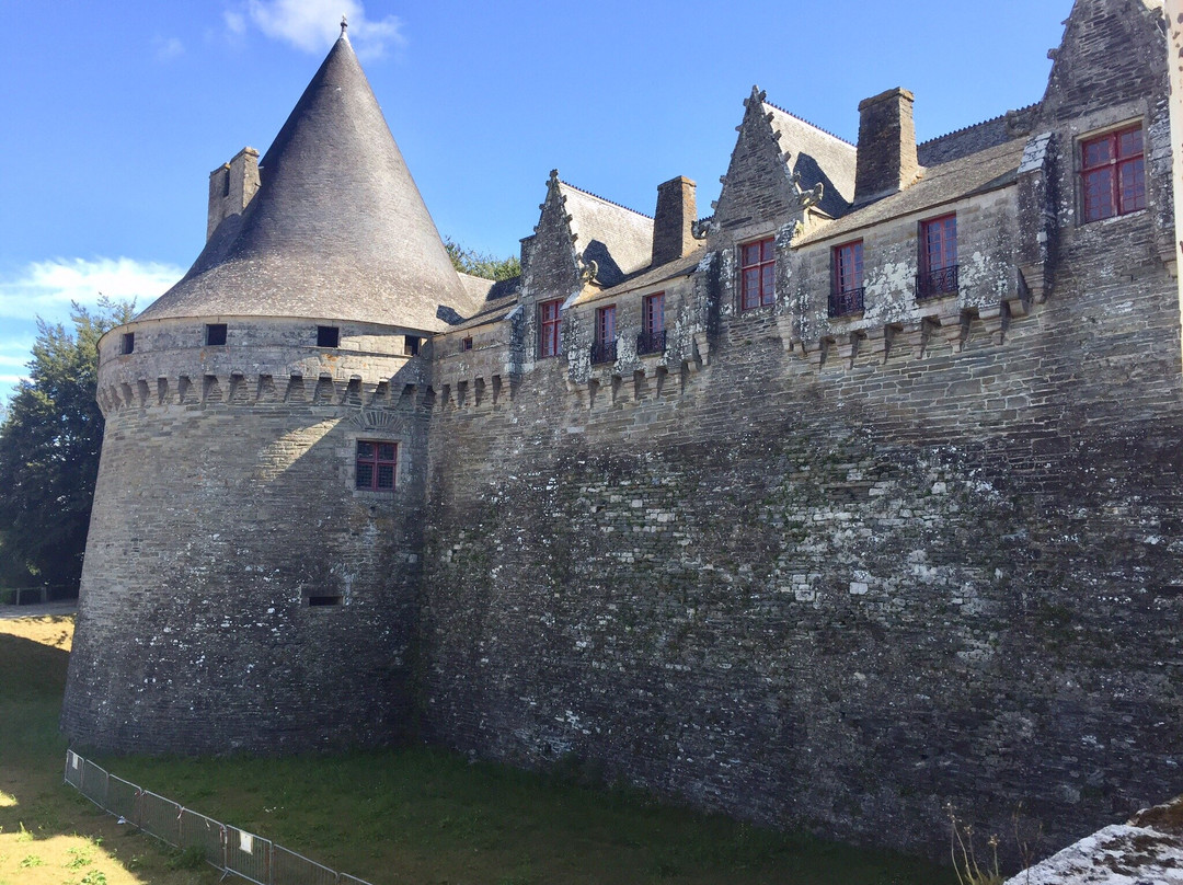 Chateau des Rohan景点图片