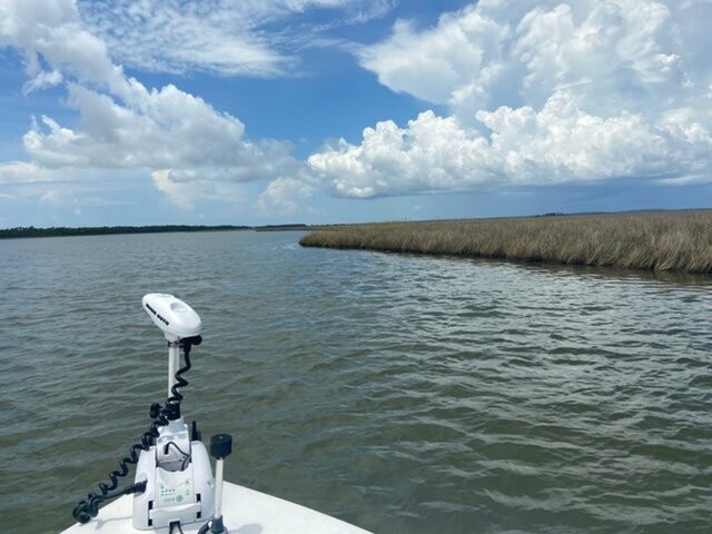 Apalachicola Charters景点图片