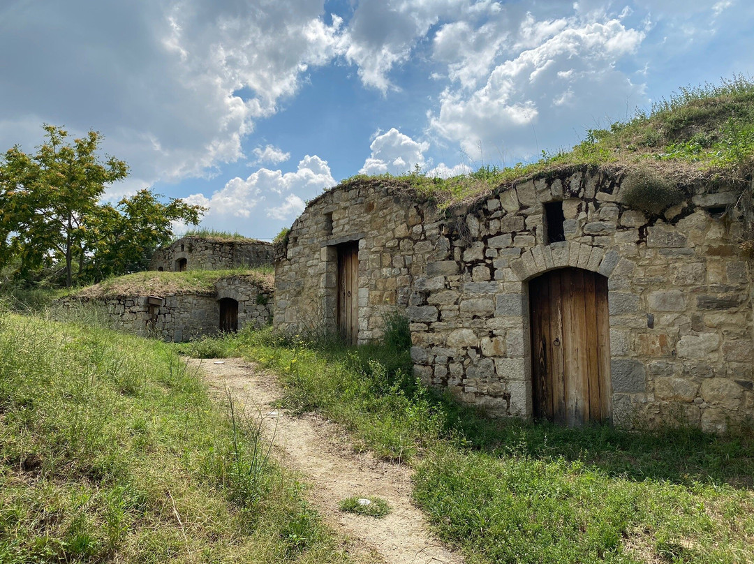 Parco Urbano Dei Palmenti景点图片