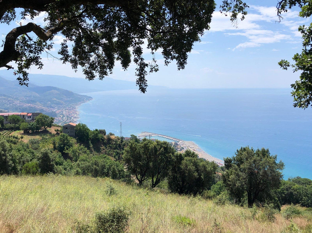 Agriturismo La Casa del Vicario主图