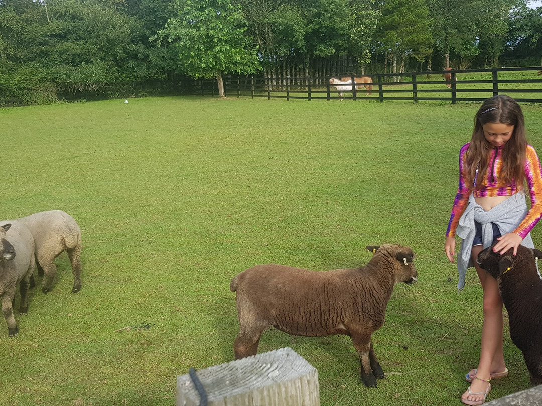 Barton Gate Farm Guesthouse主图