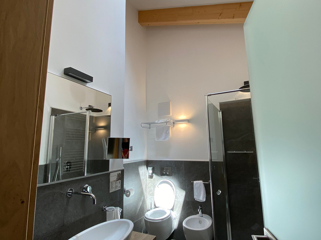 Chalet Aster Hotel主图