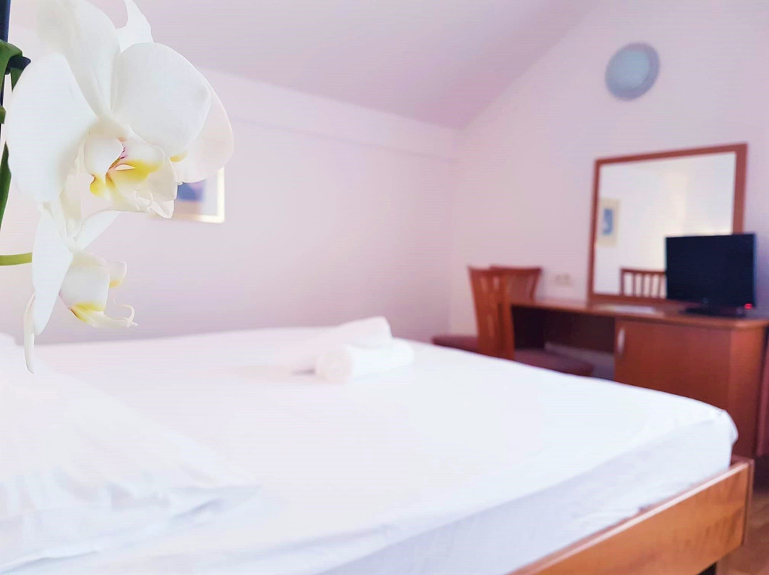 Guest House Bajc主图