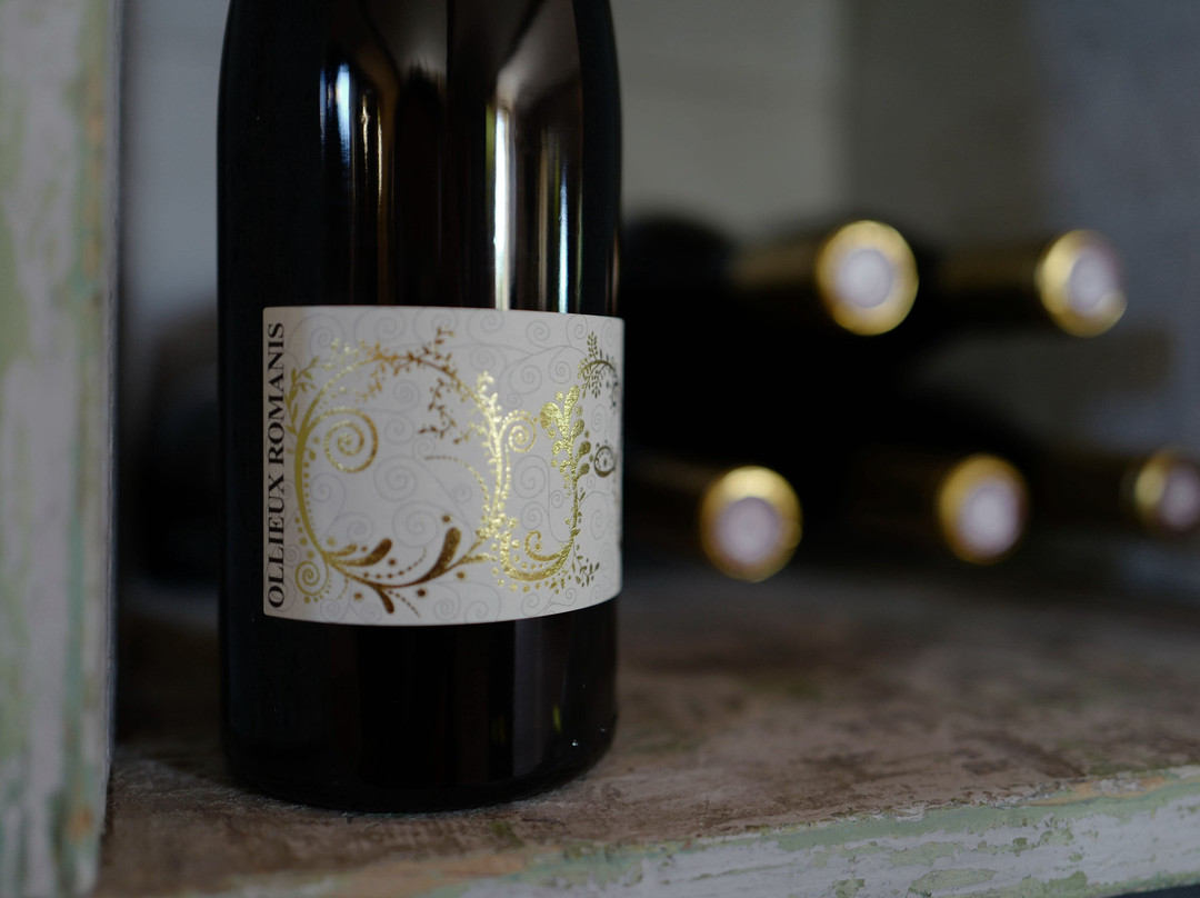 Château Ollieux Romanis景点图片