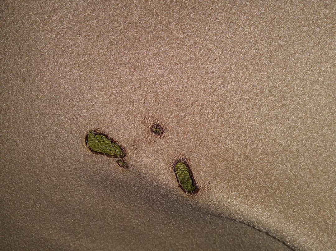 默弗里斯伯勒速8酒店主图