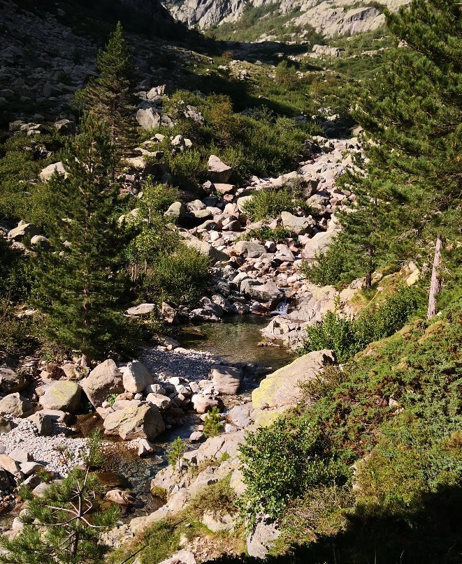 Lac de Capitellu景点图片