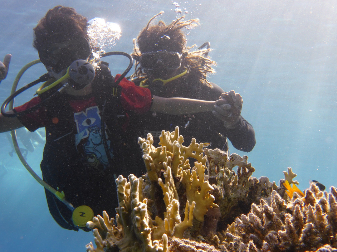 Paradise Blue Center