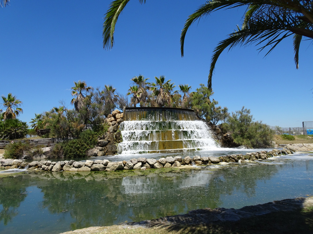 Parc du Levant-帕拉瓦莱弗洛必去景点
