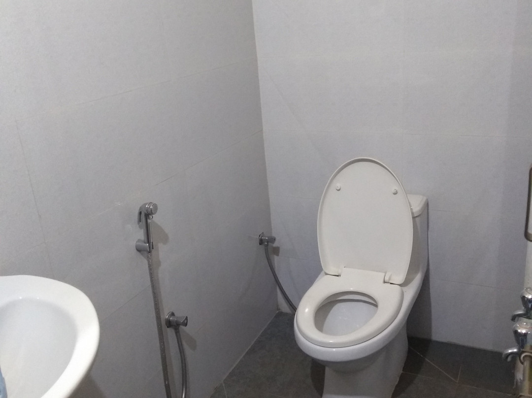 Padmashree Lodge主图