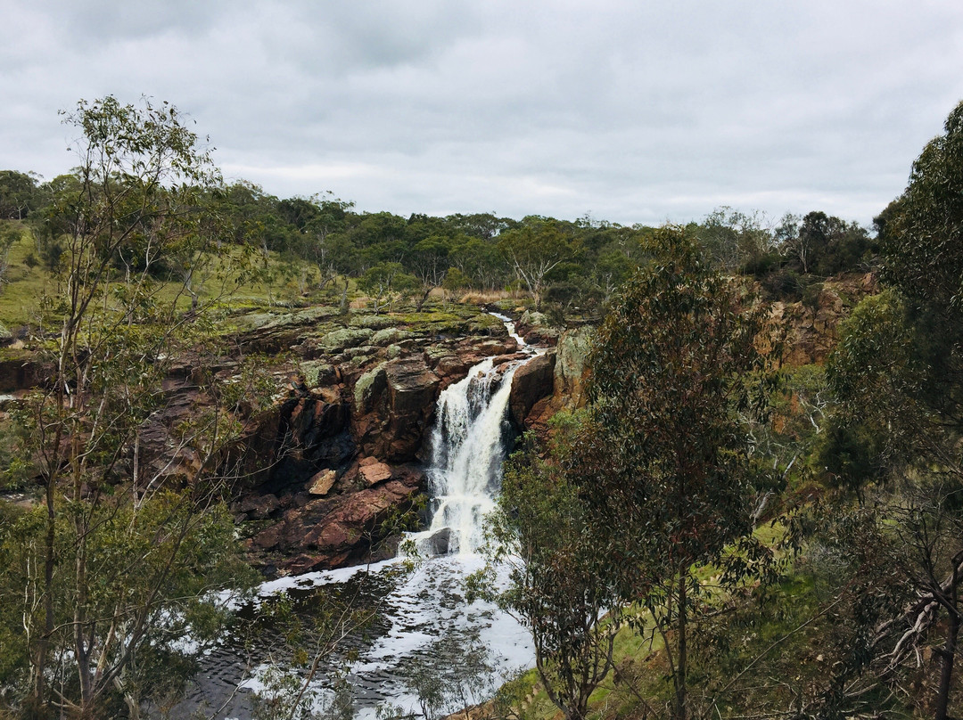 Nigretta Falls-哈密尔顿必去景点