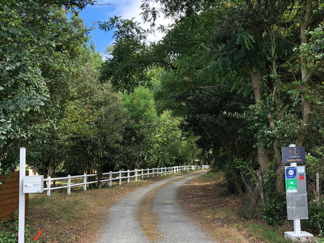 Les Arabesques主图