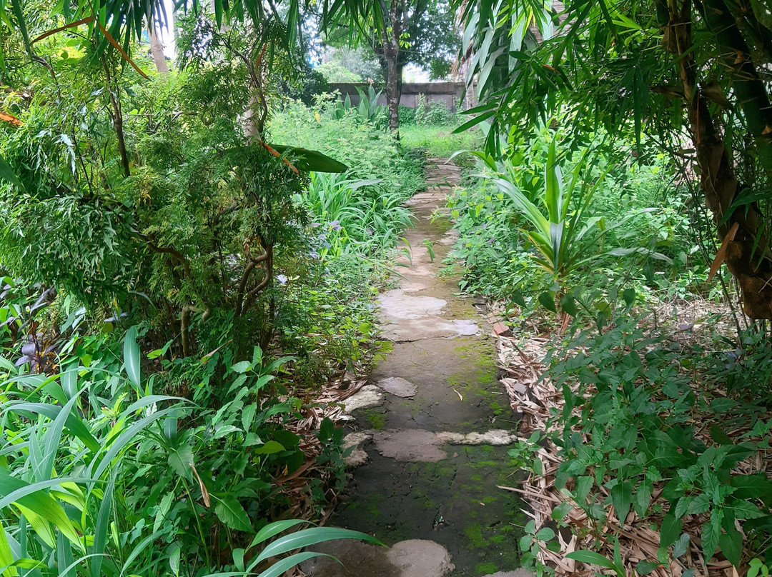 Banlung Balcony Guesthouse & Restaurant主图