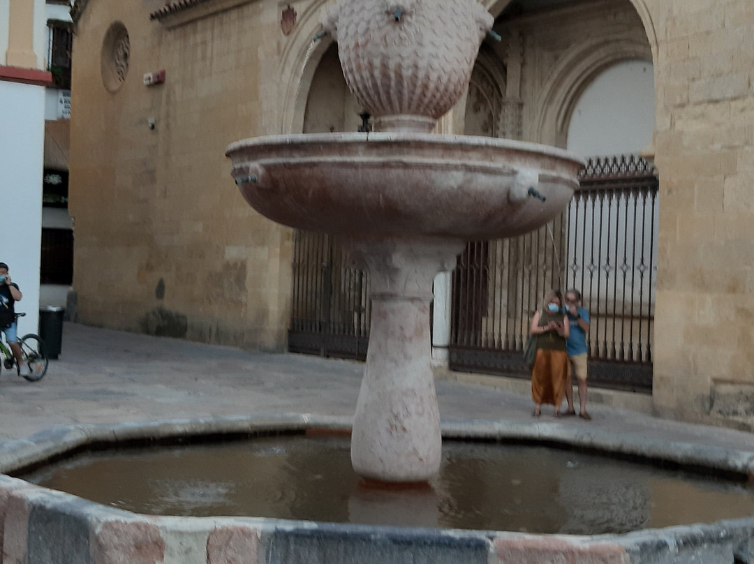 Plaza del Potro景点图片