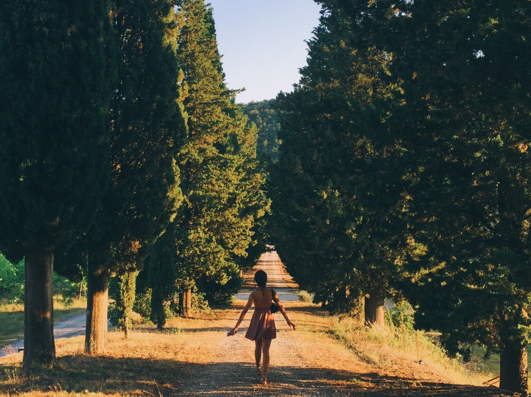 Villa Buoninsegna主图