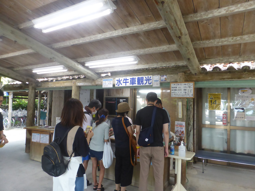 Water Buffalo Carriage Nitta Kanko-竹富町竹富岛必去景点