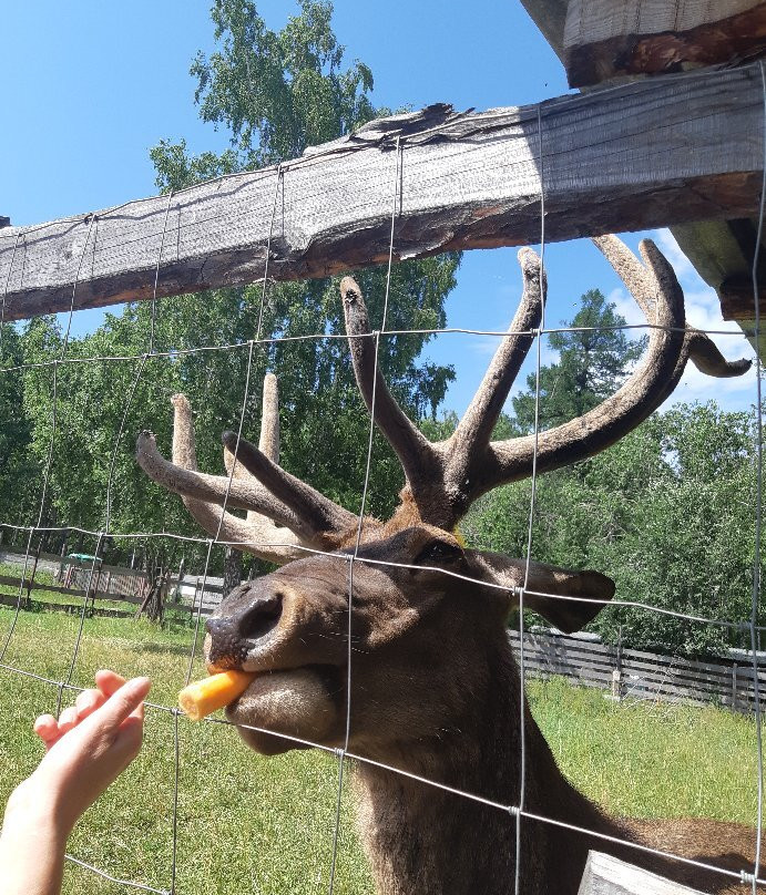 National Park Zuratkul-Satka必去景点