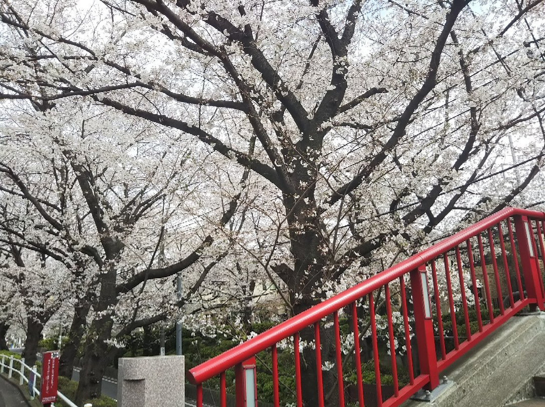 桜坂-大田区必去景点