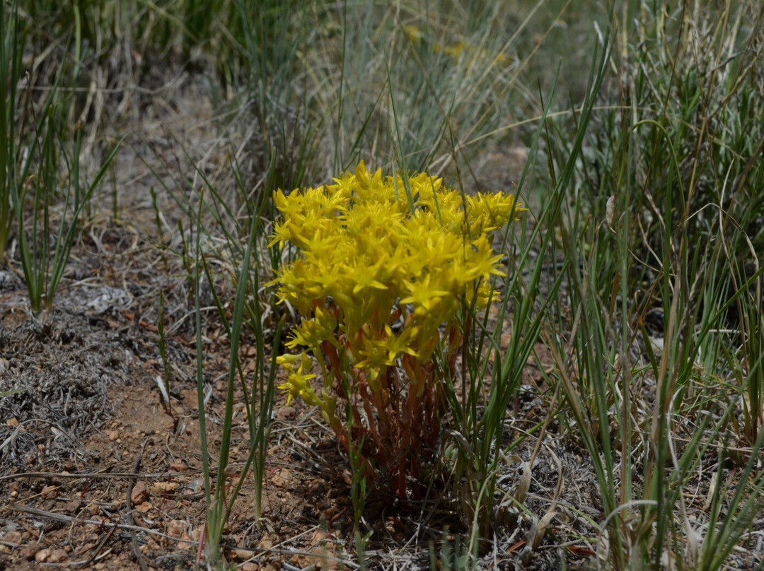 Kenosha Pass-Fairplay必去景点