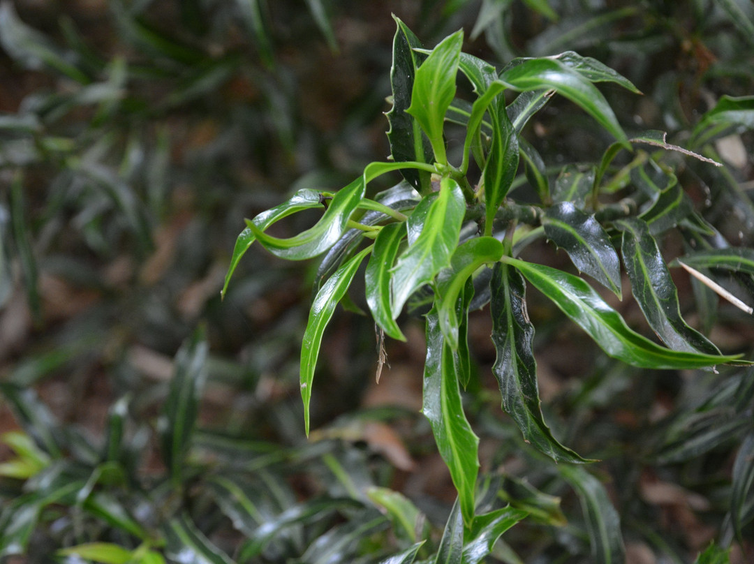 Arboretum des Pres des Culands-Meung-sur-Loire必去景点