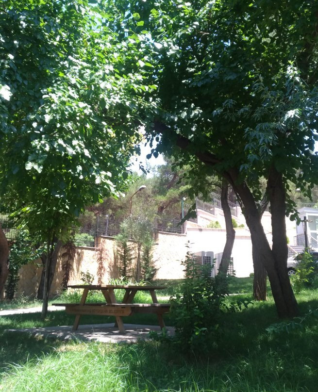 Yedi Guzel Adam Edebiyat Muzesi景点图片