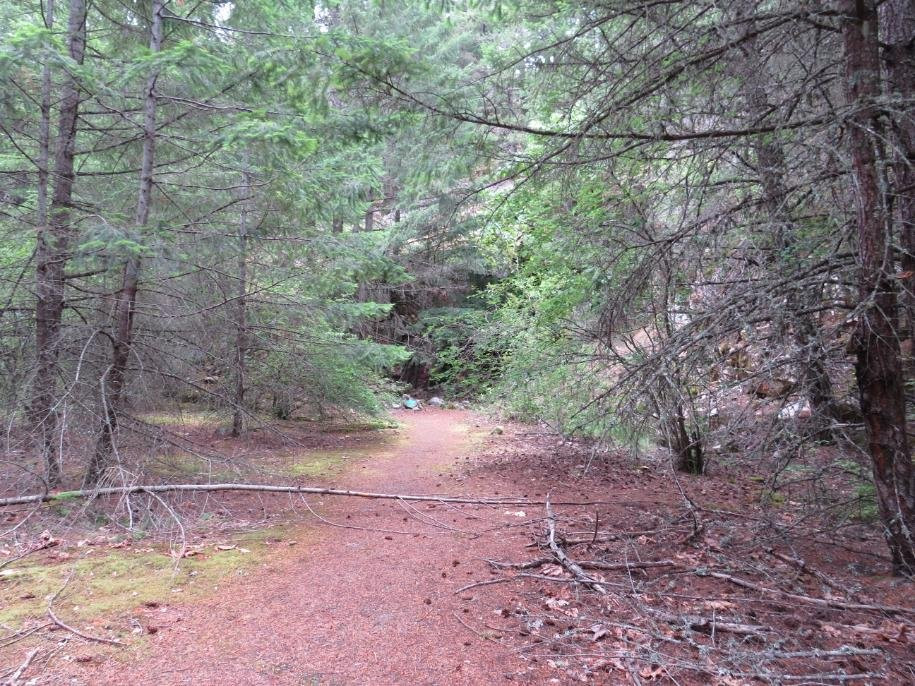 Fraser Canyon-霍普必去景点