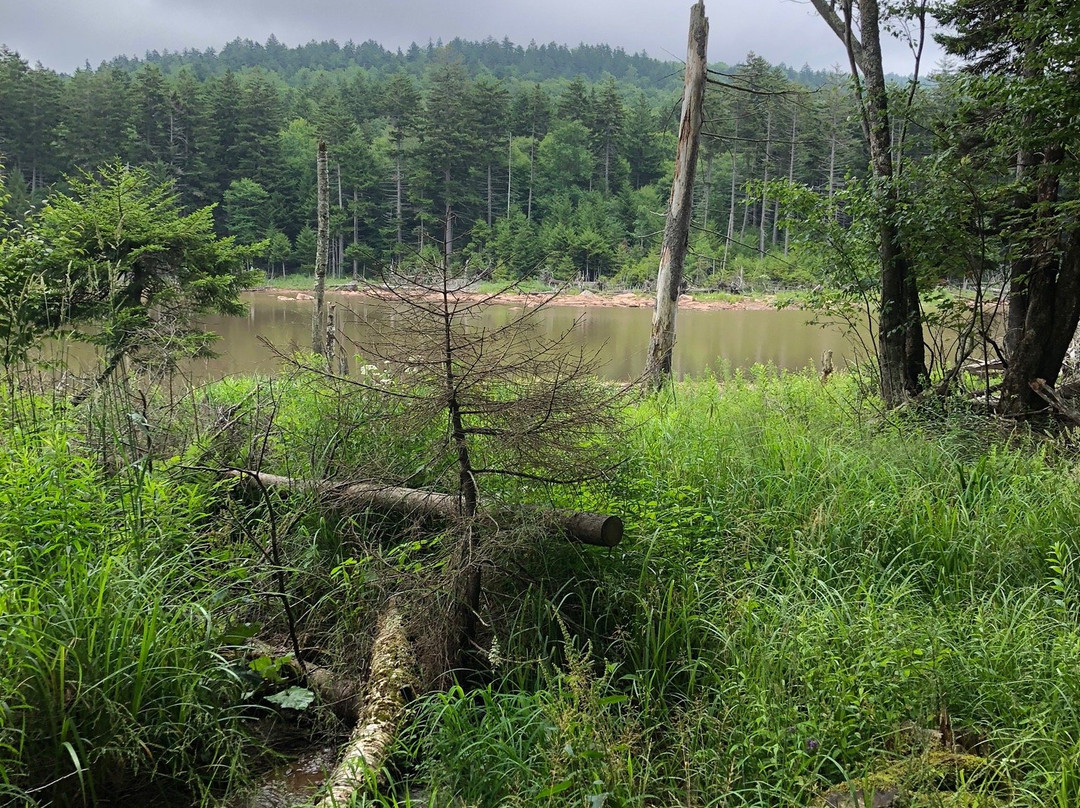 Shavers Lake & Lift Rides-雪鞋山必去景点