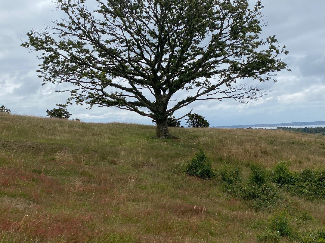 Agri Bavnehøj景点图片
